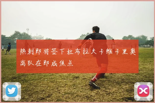 热刺即将签下杜布拉夫卡维卡里奥离队在即成焦点