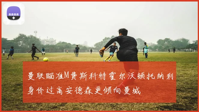 曼联瞄准M费斯科特霍尔沃顿托纳利身价过高安德森更倾向曼城