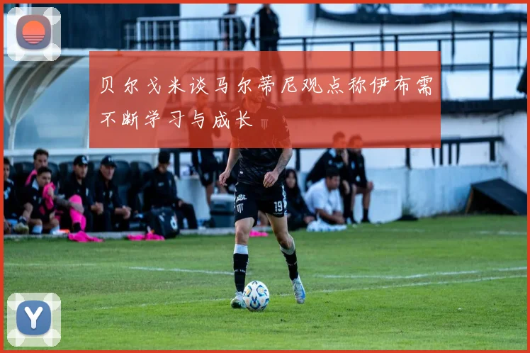 贝尔戈米谈马尔蒂尼观点称伊布需不断学习与成长
